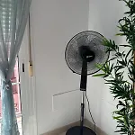 Buenavistas 아파트